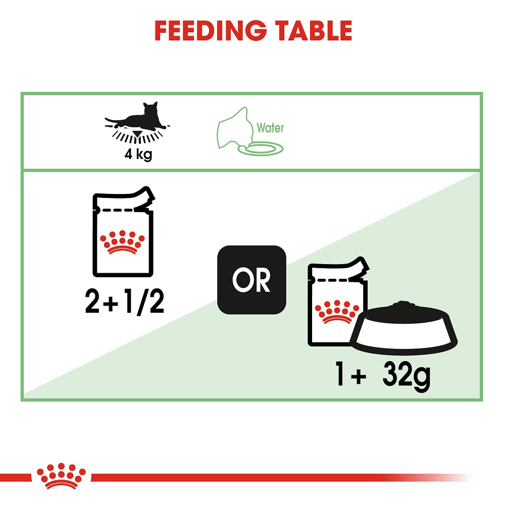 Royal canin digest hot sale sensitive in gravy